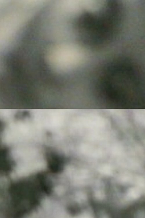 L'Attirance (2001) poster