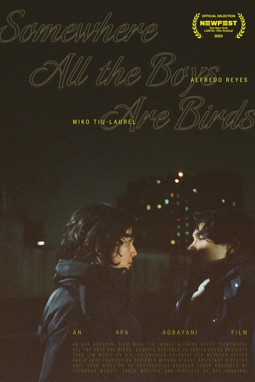 Somewhere all the boys are birds