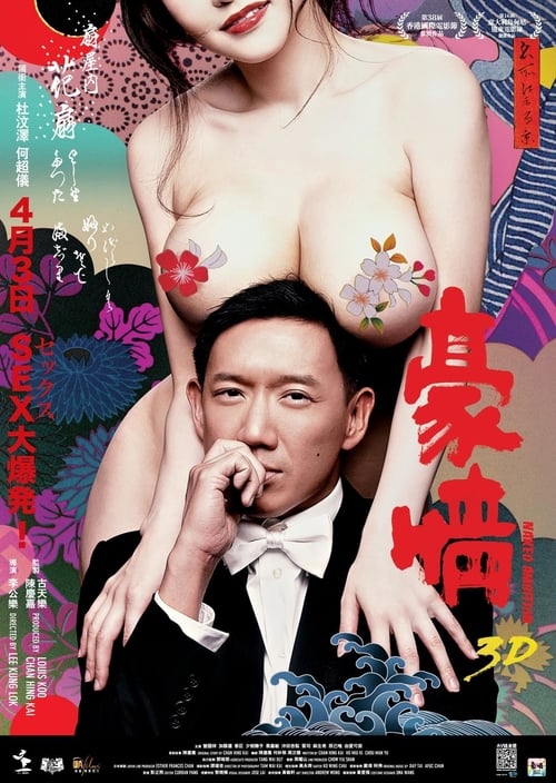 3D 豪情 (2014) poster