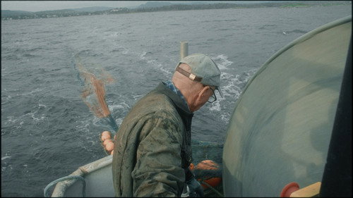Caught in the net — Backdrops 15