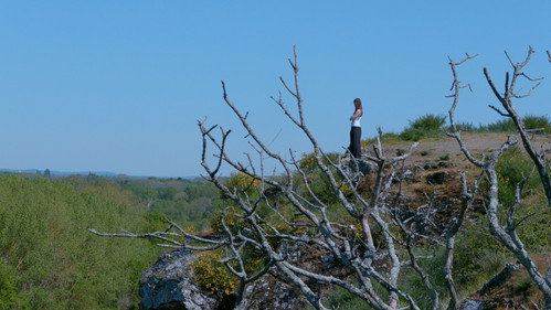 À L'Abri D'Un Double Soleil