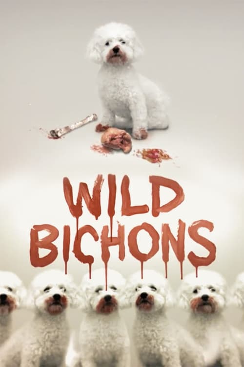 Poster Wild Bichons 2013