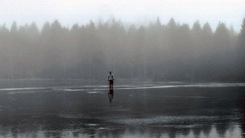 La vie dans les bois - D'après "Walden" de Henry David Thoreau