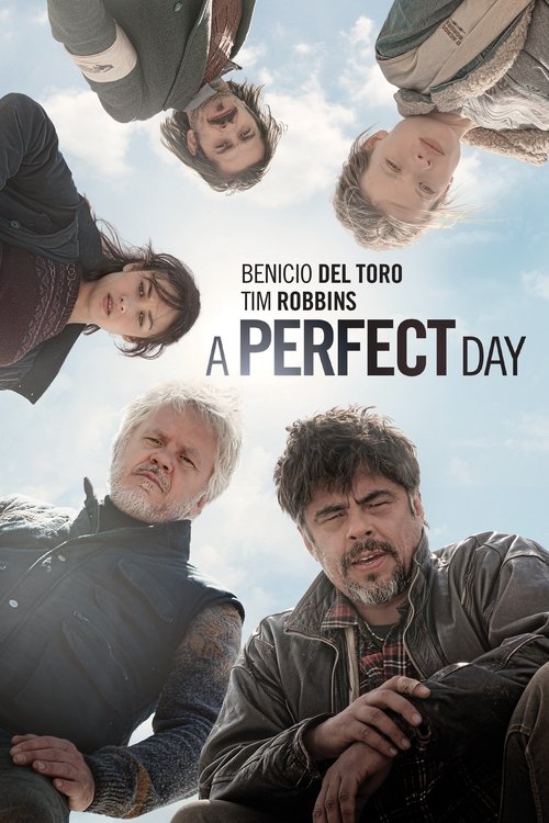 A Perfect Day 2015