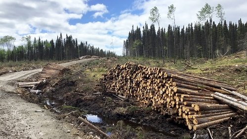 Image de l'épisode 7