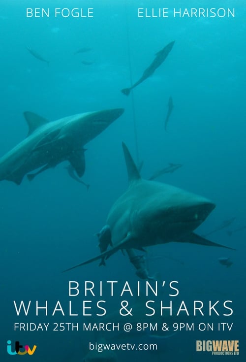 Poster Britain's Whales and Sharks