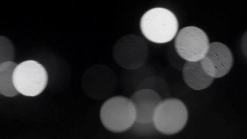 STALKER Backdrop Blur