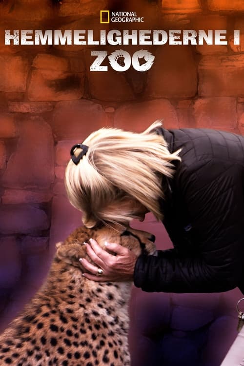 Secrets of the Zoo poster