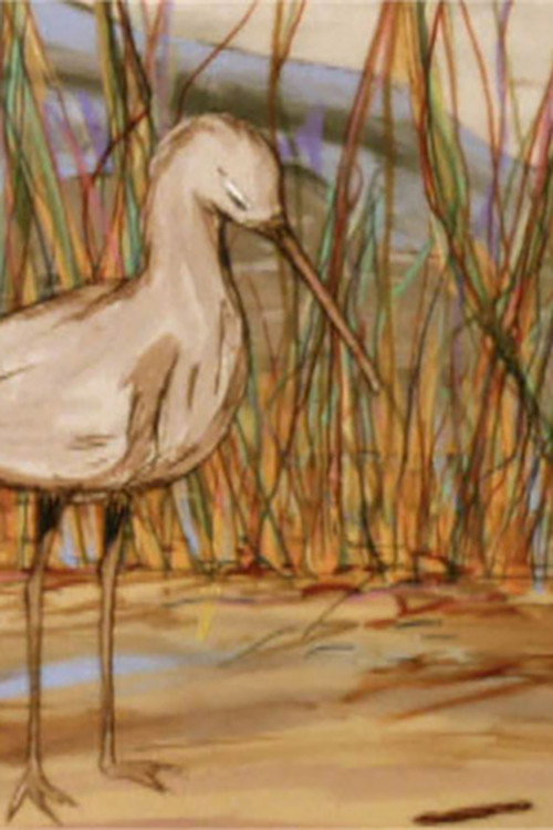 The Way Of The Birds