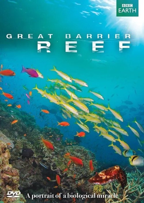 La gran barrera de coral 2012