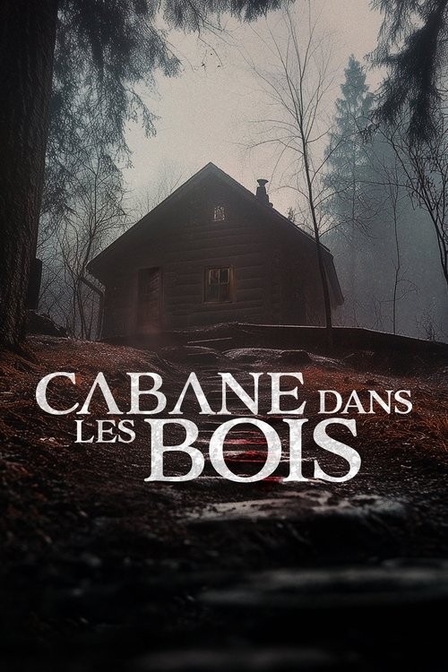 Poster de la saison 1