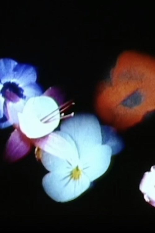 Bloemschikken (1999) poster