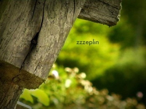 Image ZZZeplin