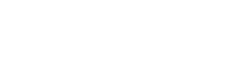 Return of the Street Fighter