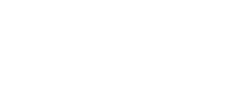 The Outlaws