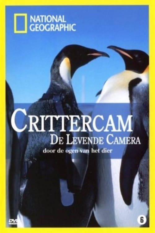 Crittercam 2004