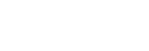 Слуга народу 2