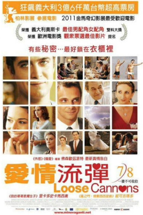 Loose Cannons poster