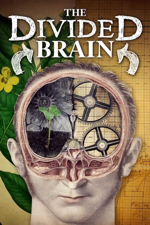 The Divided Brain (2019) poster