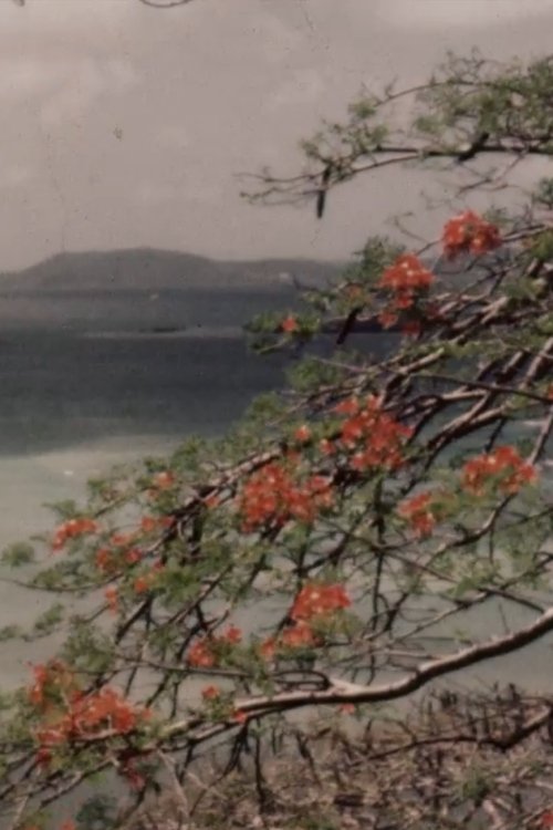 Colourful Caribbean poster