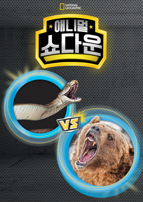 애니멀 쇼다운 poster