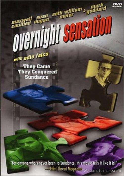 Poster do filme Overnight Sensation