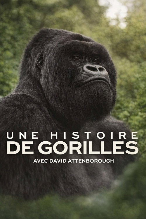 Affiche de Une histoire de gorilles avec David Attenborough