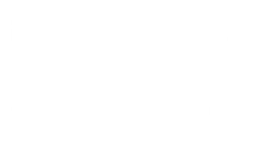 Bot Brains: Great Inventions