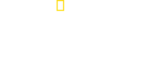 Les racines du goût avec Antoni Porowski