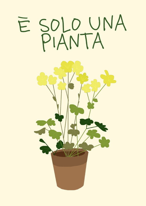 È solo una pianta