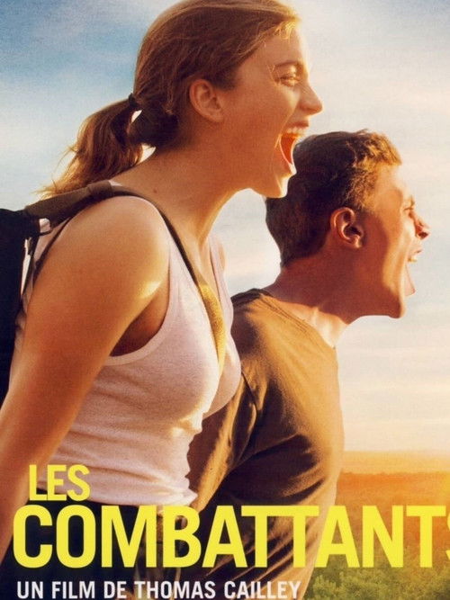 Love at First Fight poster