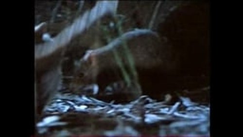 Image de l'épisode 6