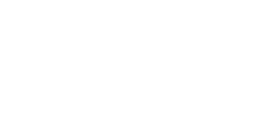 Scouts: La historia oculta