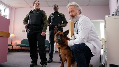 Image de l'épisode 5