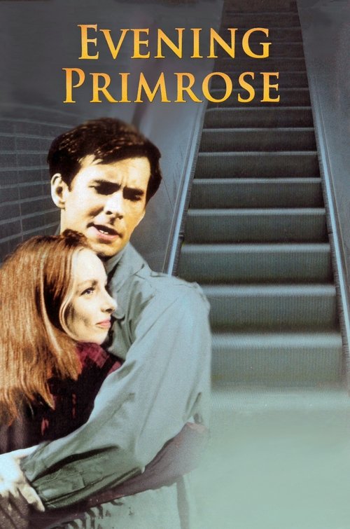 Evening Primrose poster