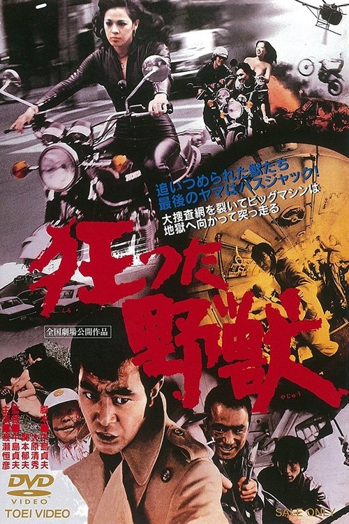 狂った野獣 movie poster player