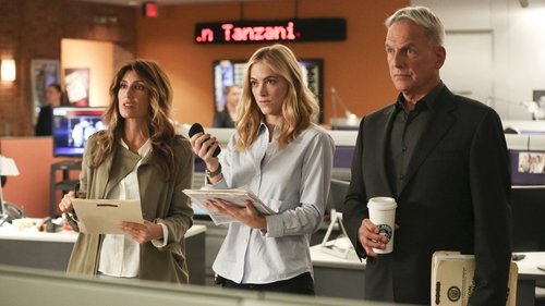 NCIS: Investigação Naval: 14×9