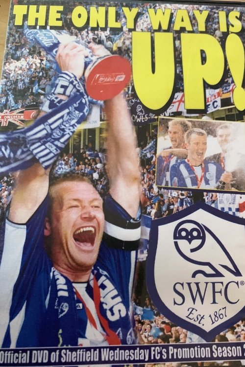 Sheffield Wednesday 2004/05 Season Review