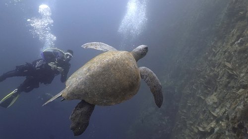 Galapagos - San Cristobal