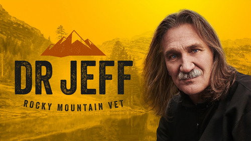 Кадр из Dr. Jeff: Rocky Mountain Vet