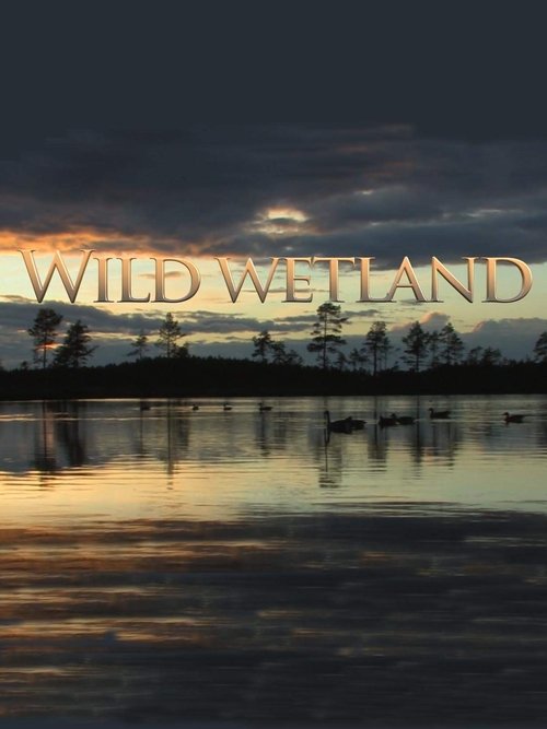 Wild Wetland movie poster player