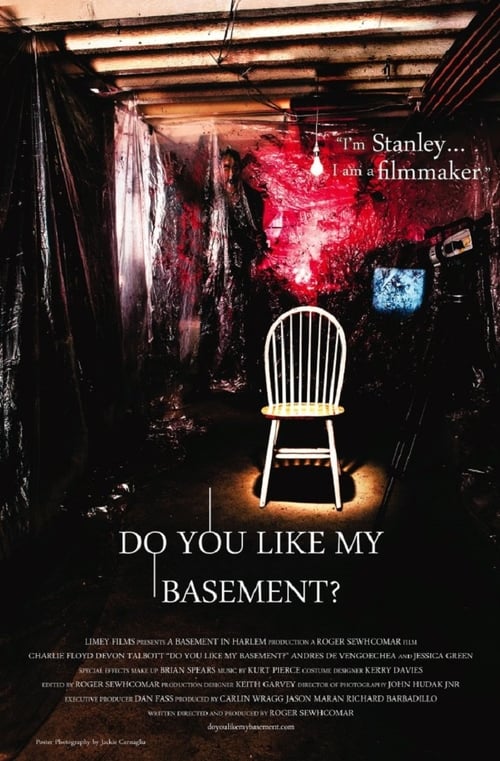 Do You Like My Basement? (2014) poster