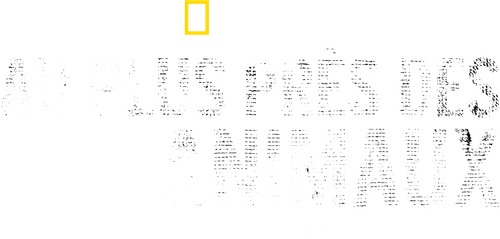 Au plus près des animaux avec Bertie Gregory