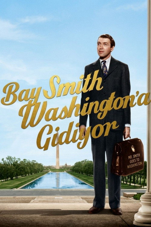 Bay Smith Washington'a Gidiyor posteri