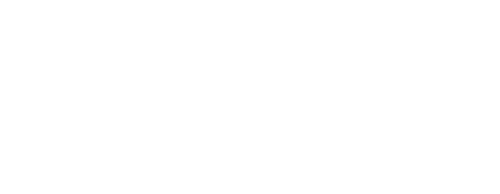 Double Walker