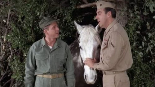 Image de l'épisode 24