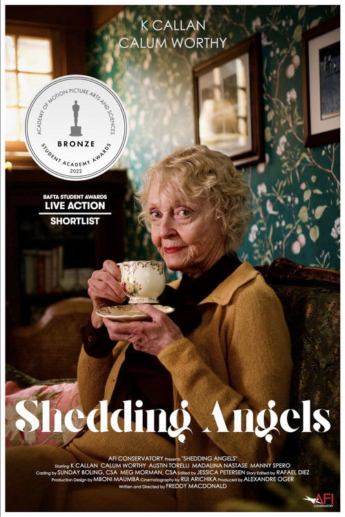 Shedding Angels poster