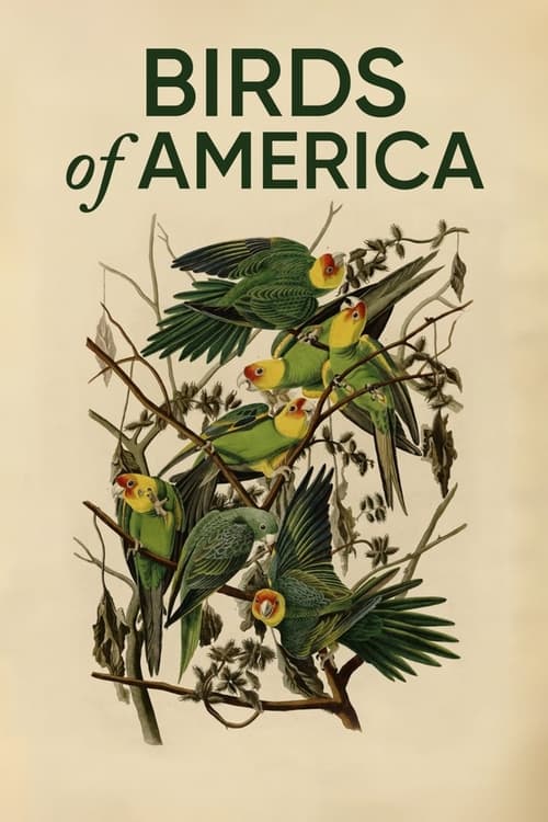 Birds of America (2022) poster