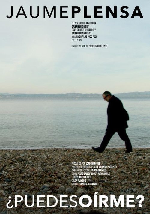 ¿Puedes oírme? movie poster player