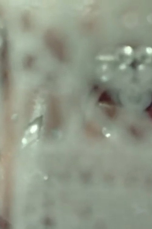 I'm Not In Love (How To Feed On Humans)